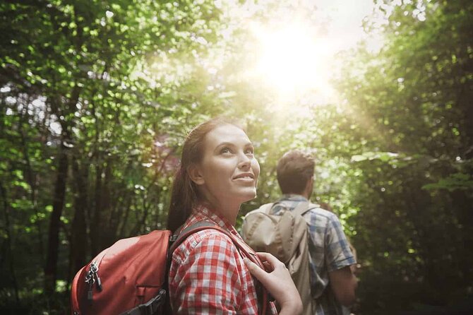 Taman Negara National Park Tour With Local Guide and Canopy Walk - Key Points