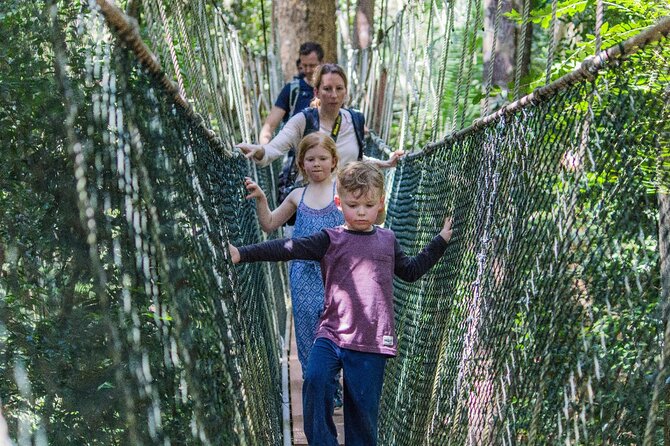 Taman Negara National Park Tour With Local Guide and Canopy Walk - Pickup and Meeting Points