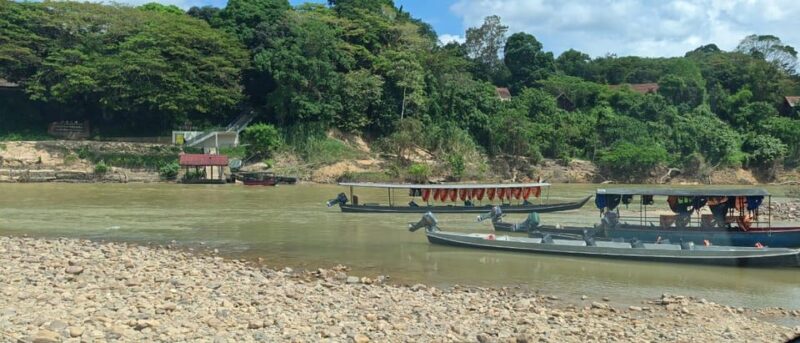 Taman Negara :Oldest Rainforest Park Guided Tour - Pricing and Inclusions