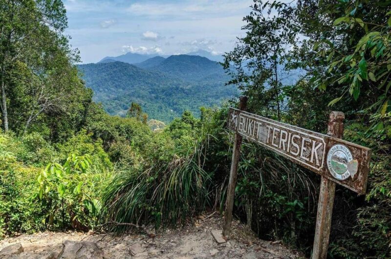Taman Negara :Oldest Rainforest Park Guided Tour - Itinerary and Logistics