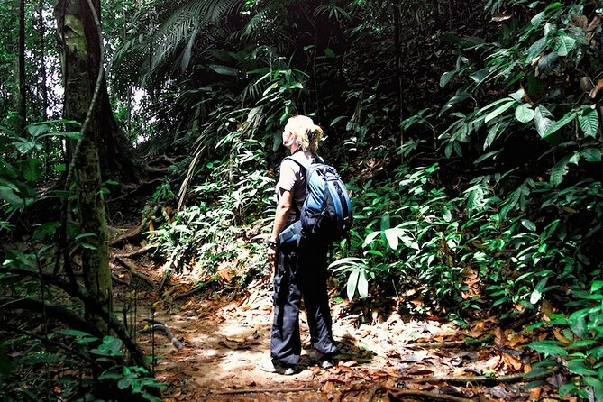 Taman Negara Rainforest Day Tour With Batu Caves Bonus Stop - Pickup Information