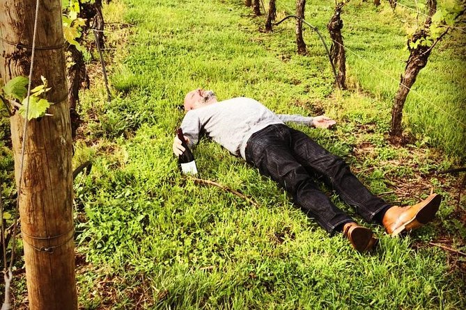 Tamar Valley Wine Tour With Lunch - Gourmet Lunch Experience