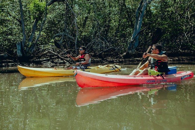 Tamarindo Kayak Estuary Mangrove Tour - Inclusions