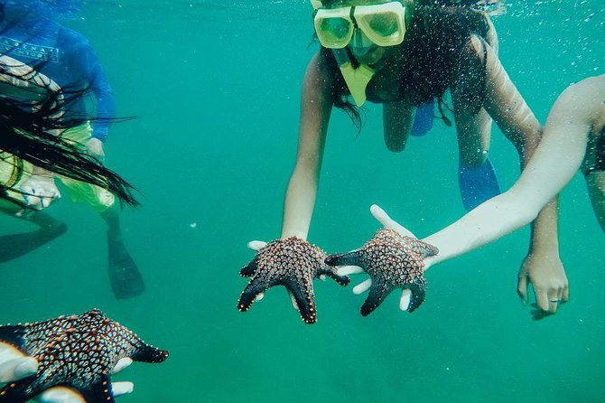 Tamarindo Kayaking Tour With Snorkeling at Captain Island - Meeting and Pickup Information
