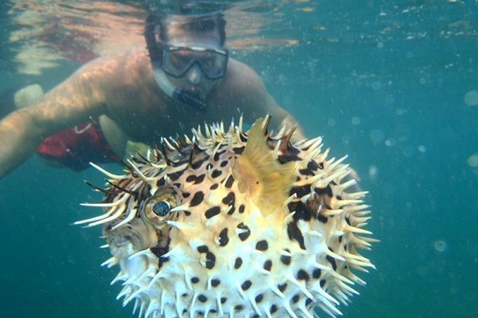 Tamarindo Kayaking Tour With Snorkeling at Captain Island - Kayaking Experience