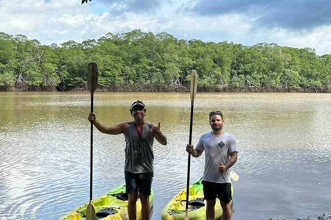 Tamarindo Mangrove Forest National Park Kayaking - Diverse Wildlife Sightings