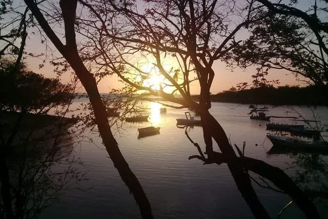 Tamarindo River Boat Tour - Abundant Wildlife Encounters