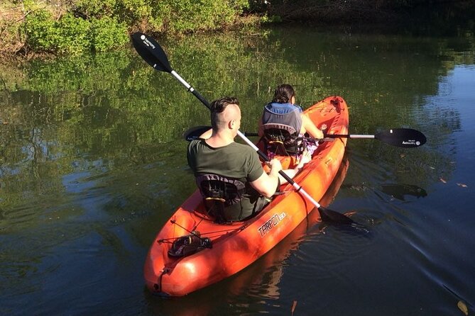 Tamarindo River Guided Kayak Mangrove & Environment Watching Tour in Guanacaste - Included Experiences