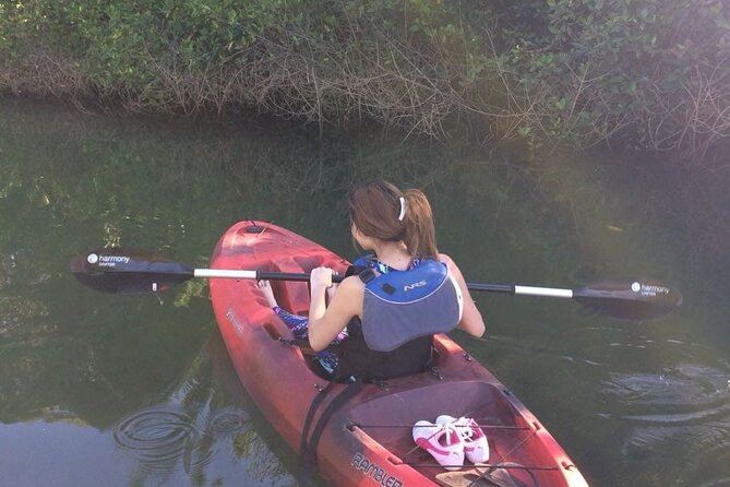 Tamarindo River Guided Kayak Mangrove & Environment Watching Tour in Guanacaste - Health and Safety
