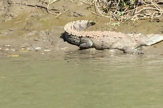 Tamarindo Wildlife Estuary Boat Ride Tour 2 Hours - Booking and Cancellation