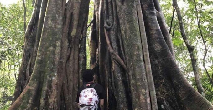 Tamblingan Lake Jungle Trekking & Lake Paddeling - Cultural Experience