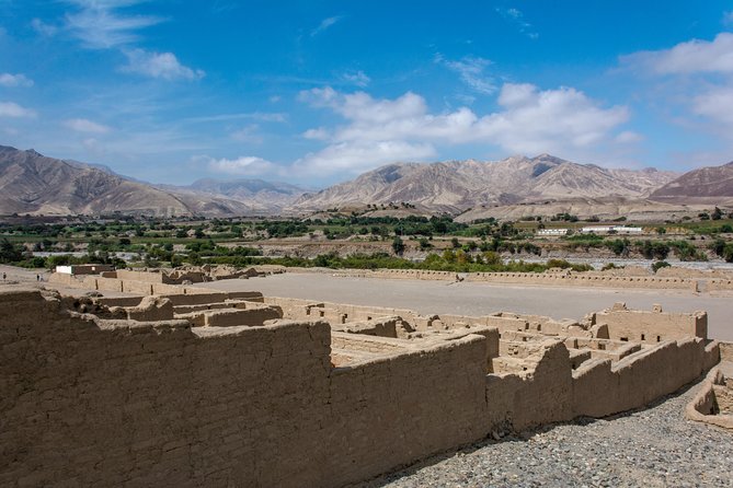 Tambo Colorado Guided Tour From Paracas - Discovering Ceremonial Plazas and Structures