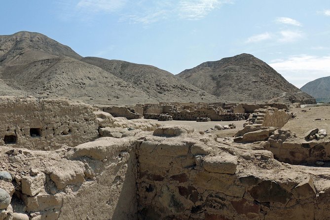 Tambo Colorado Guided Tour From Paracas - Mixed Reviews and Feedback