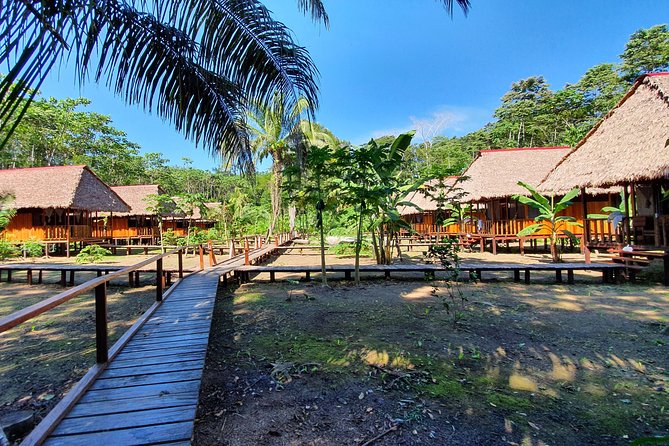 Tambopata 3 Days 2 Nights With Chuncho Macaws Clay Lick by Junglepro - Customer Reviews and Recommendations