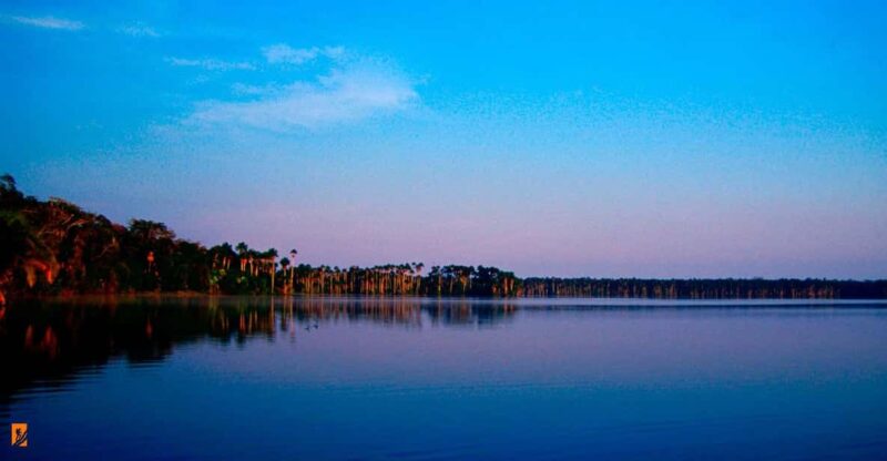 Tambopata 3D | Monkey Island + Sandoval Lake + Bonfire | - Wildlife and Nature