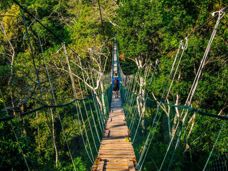 Tambopata 4 Days/3 Nights - Key Points