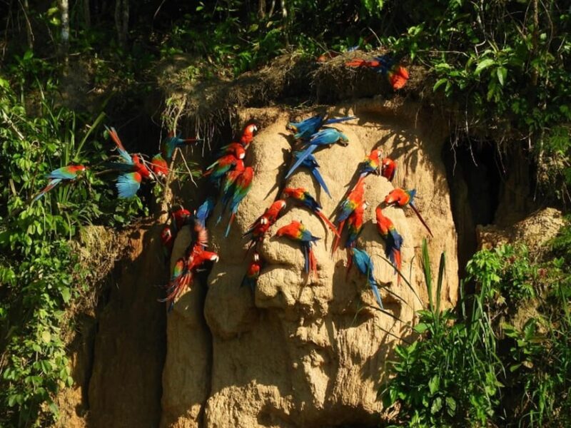 Tambopata 4D/3N Tour – Lake Zandoval - Exclusions