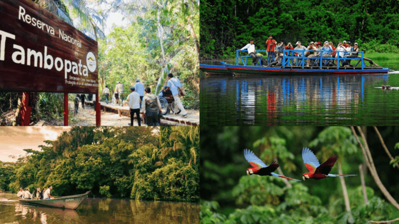 Tambopata 4Days/3Nights - Itinerary Highlights