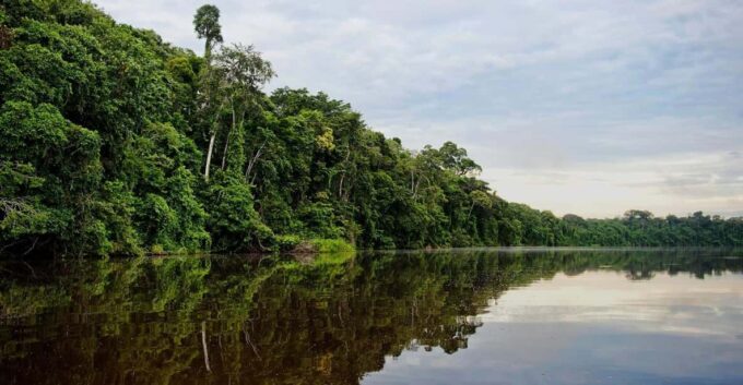 Tambopata 4Days/3Nights - Professional Guide Services