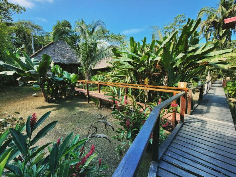 Tambopata All in One - Preparation and Important Information