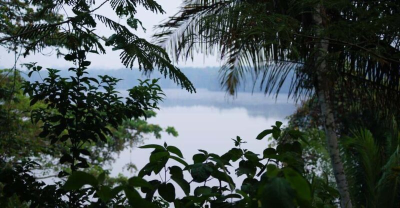 Tambopata All in One - Key Points