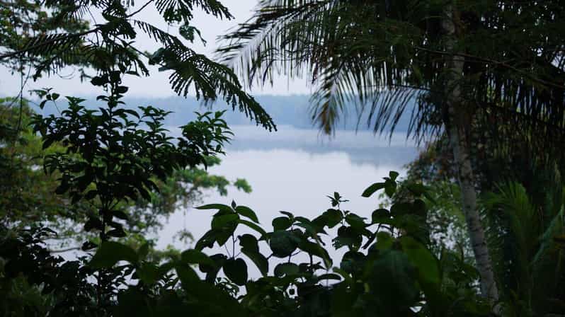 Tambopata All in One - Itinerary Highlights