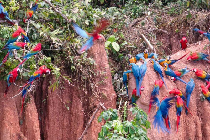 Tambopata All in One - Inclusions