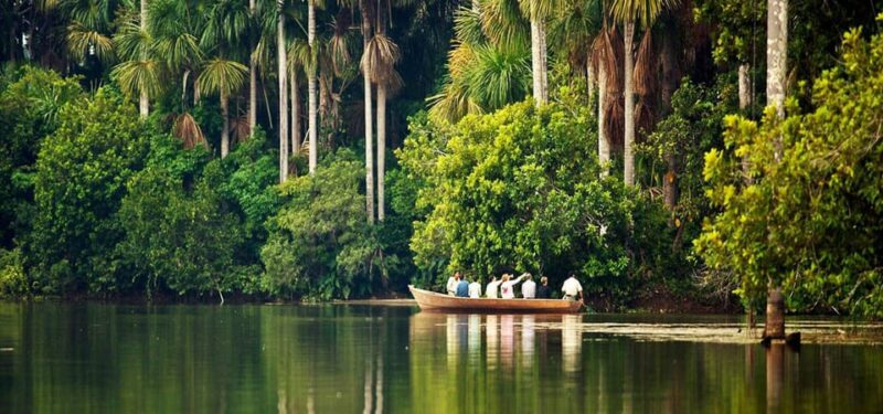 Tambopata All in One - Booking and Availability