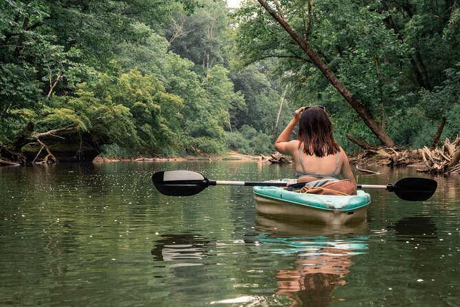 Tambopata Amazon Reserved Zone Exclusive Experience (6 Days) - Guided Interpretive Trail Walks