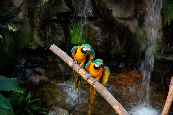 Tambopata Amazon Reserved Zone Exclusive Experience (6 Days) - Wildlife Spotting Opportunities