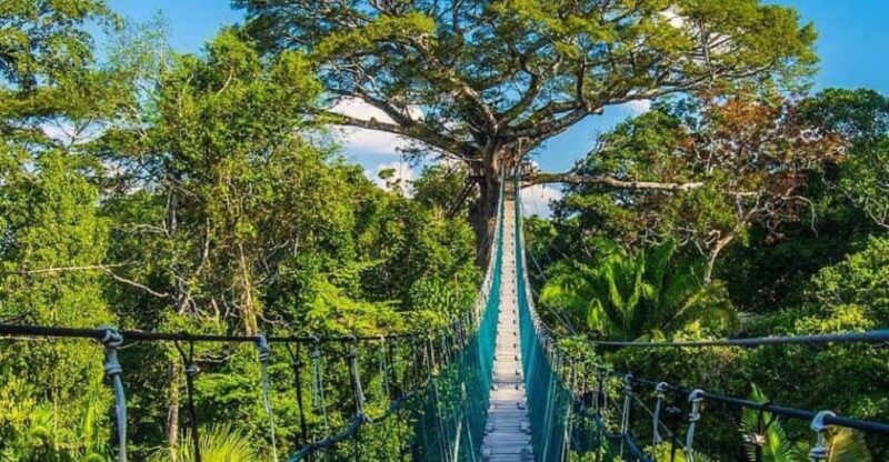 Tambopata Amazon Wild 3D/2N - Key Points