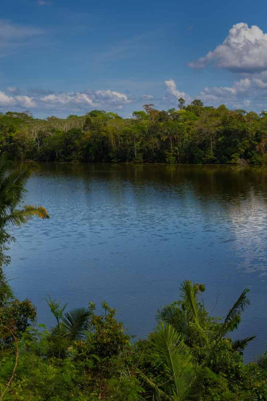 Tambopata Amazon Wild 3D/2N - Wildlife and Nature Experience