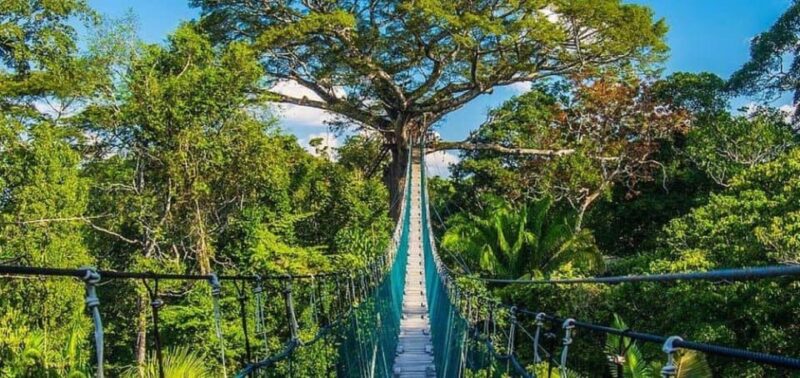 Tambopata Amazon Wild 3D/2N - Lake Sandoval Excursion