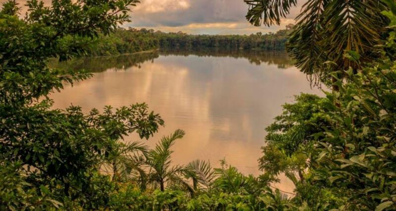 Tambopata Amazon Wild 3D/2N - Important Information