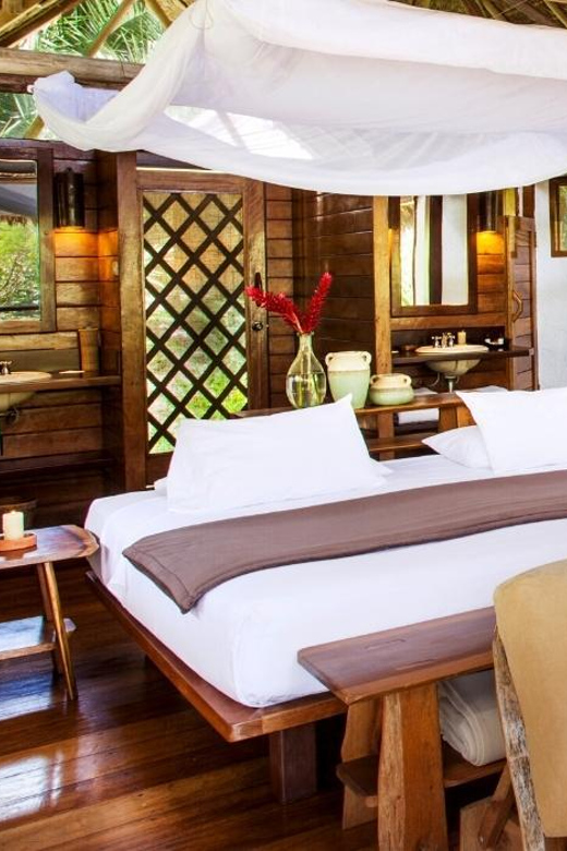 Tambopata: Ayahuasca Retreat 2 Days | Lodge and Lunch | - Experience and Activities