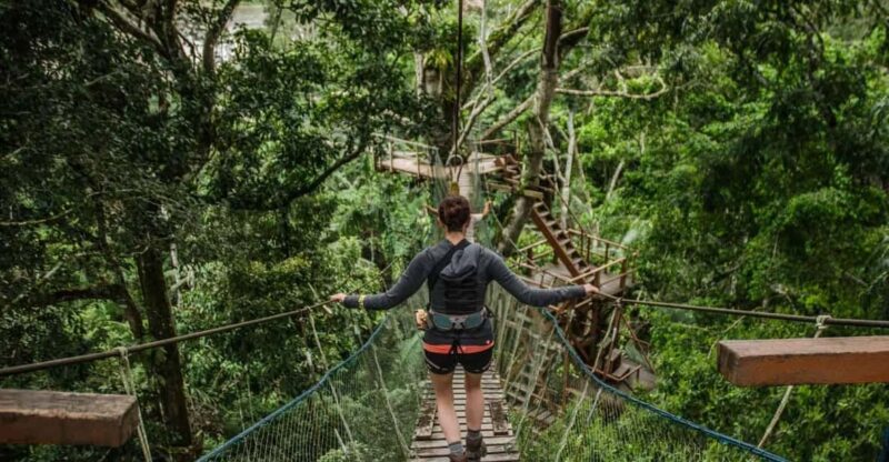 Tambopata Excursion 5D/4N, Parrot Clay Lick – Monkey Island - Key Points