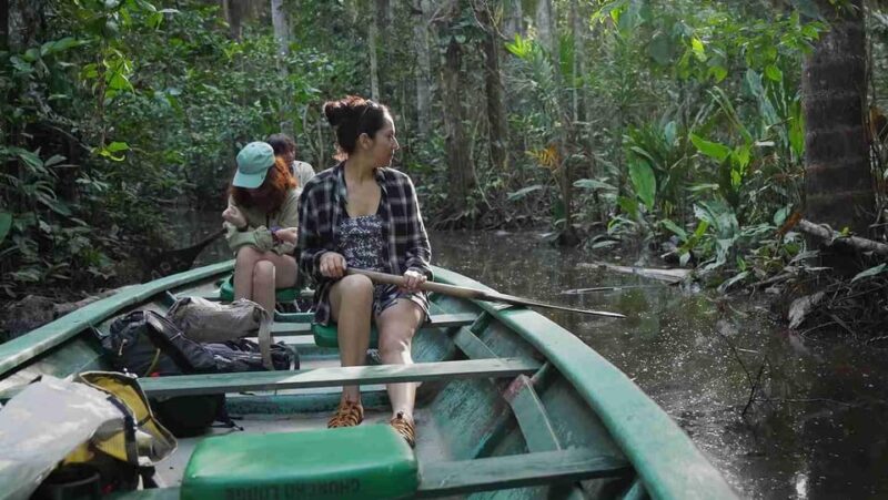 Tambopata Excursion 5D/4N, Parrot Clay Lick – Monkey Island - Itinerary Highlights