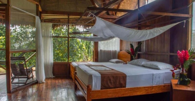 Tambopata Expedition + Wasaí Lodge |3 Days - Collpa Chuncho| - Itinerary Highlights