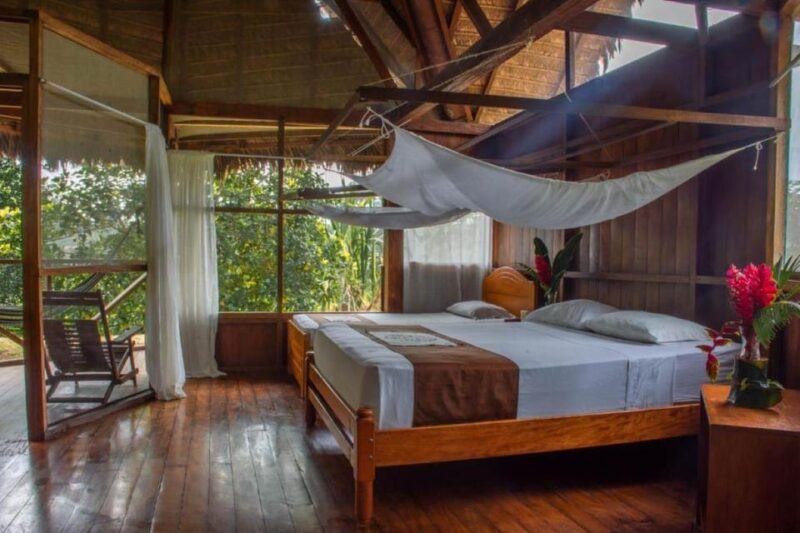 Tambopata Expedition + Wasaí Lodge |3 Days - Collpa Chuncho| - Included Services