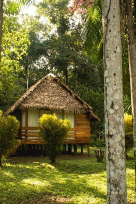 Tambopata Expedition + Wasaí Lodge |3 Days - Collpa Chuncho| - Essential Information