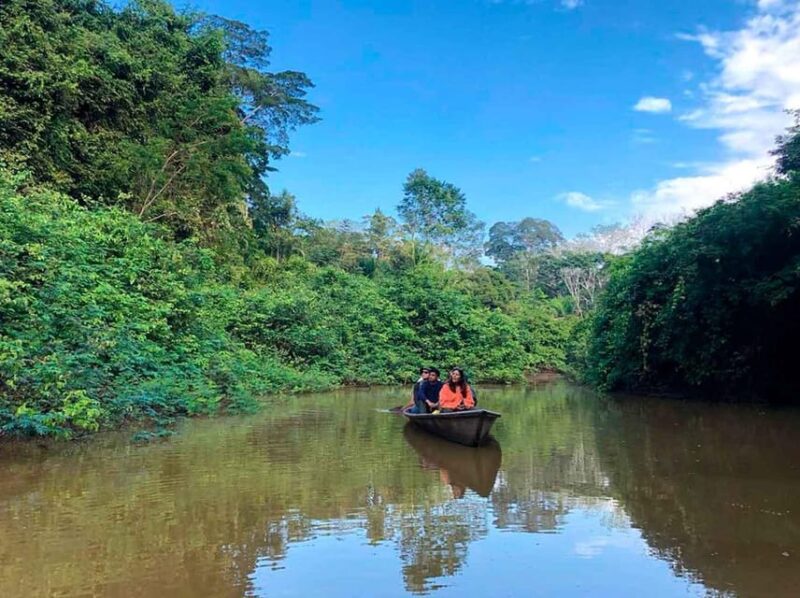 Tambopata Experience: Discover the Magic of Macaws - Accommodation Options