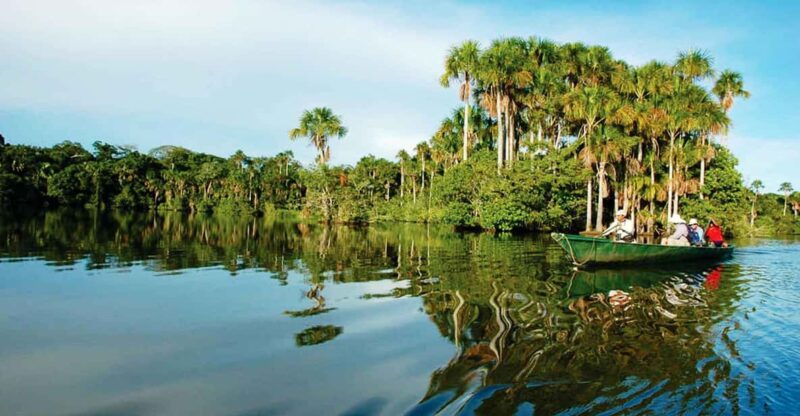 Tambopata Jungle 4 Days | Lake Sandoval + Monkey Island - Exploring Medicinal Plants and Alligators