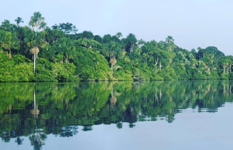 Tambopata Jungle 4Days | Lodge | Food | Boat - Key Points
