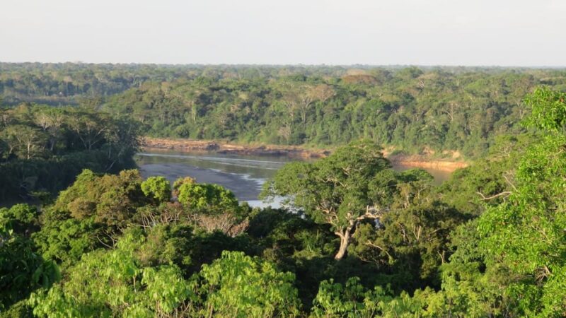 Tambopata Jungle 4Days | Lodge | Food | Boat - Day 1 Activities
