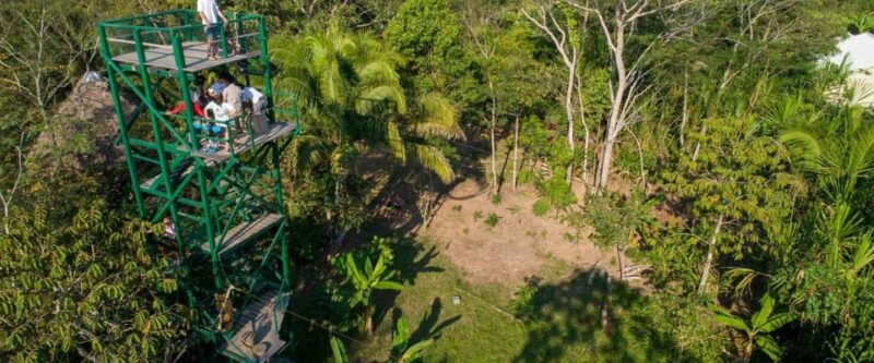 Tambopata Jungle 4Days | Lodge | Food | Boat - Day 3 Activities