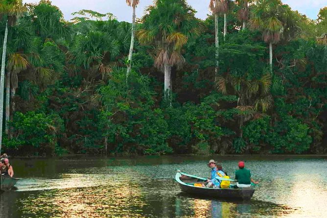 Tambopata Jungle Adventure Tour 4 Days - Inclusions