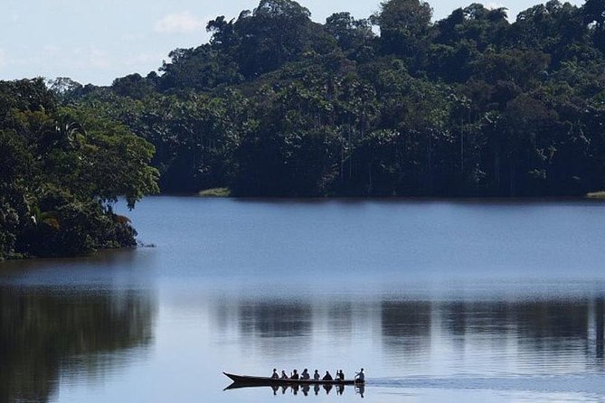 Tambopata Jungle Adventure Tour 4 Days - Traveler Recommendations