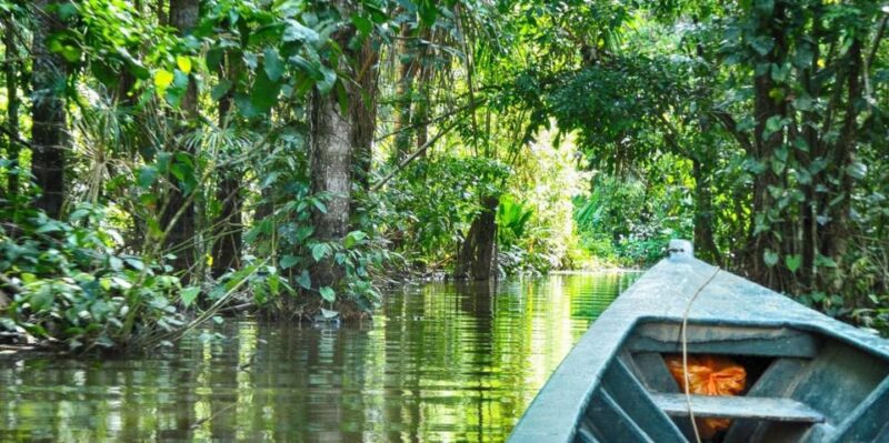 Tambopata Jungle Excursion 2 Days | Kayak – Monkey Island - Itinerary - Day 1