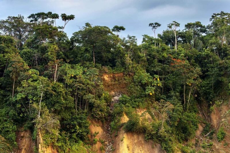 Tambopata Jungle Tour 2 Days | Sandoval Lake + Monkey Island - Itinerary Highlights