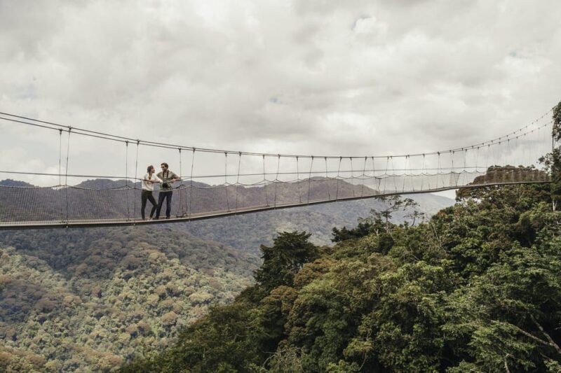 Tambopata: Lago Sandoval and Colpa of Loros 3- Days - Wildlife Encounters